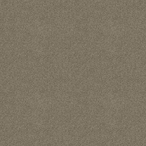 Skyway 40 Oak Bark